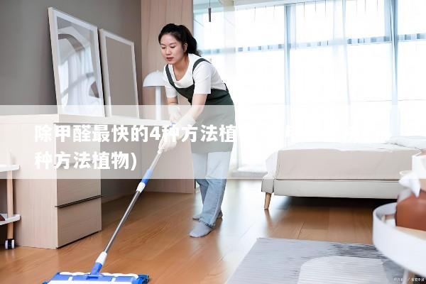 除甲醛最快的4种方法植物(除甲醛最快的4种方法植物)